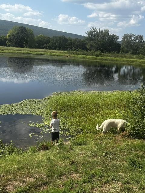 little boy fishing 